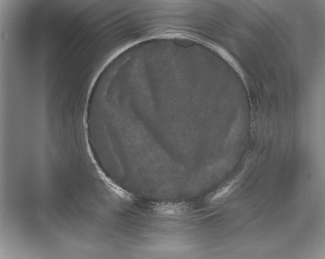 X0000073410951200608111321