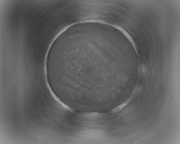 X0000073410957200608111322