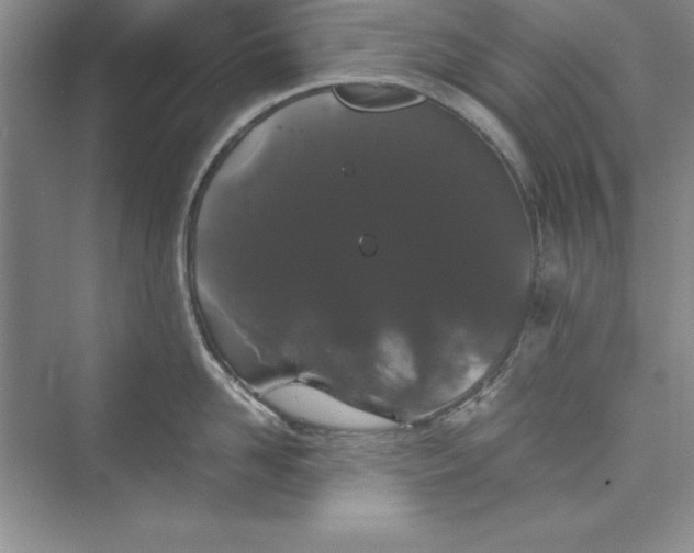 X0000073410958200608111322