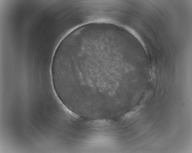 X0000073410959200608111322