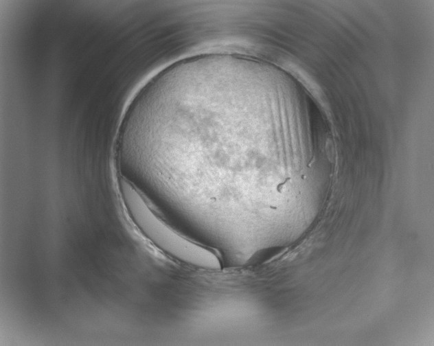 X0000073410960200608111322