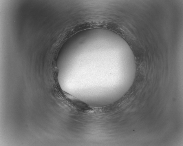 X0000073410961200608111321