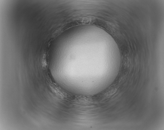 X0000073410962200608111321