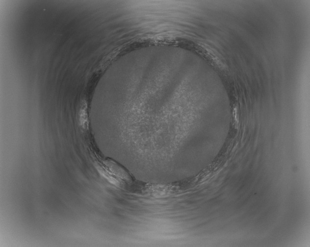 X0000073410963200608111321