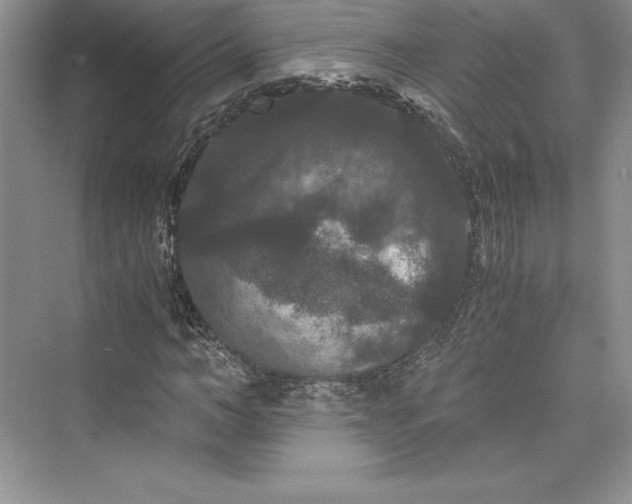 X0000073410966200608111321