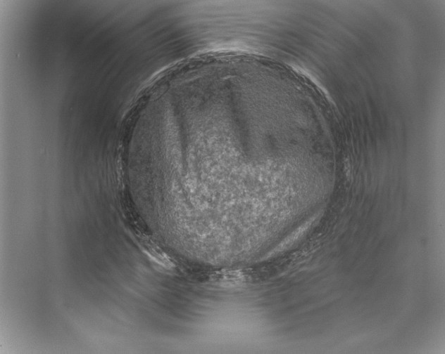 X0000073410968200608111321