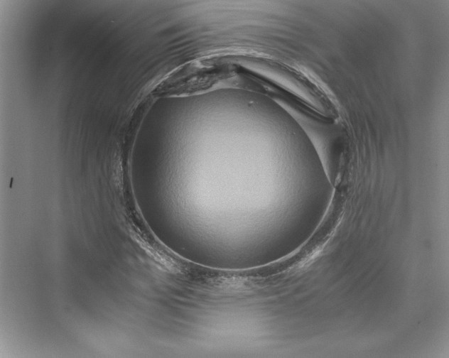 X0000073410969200608111321