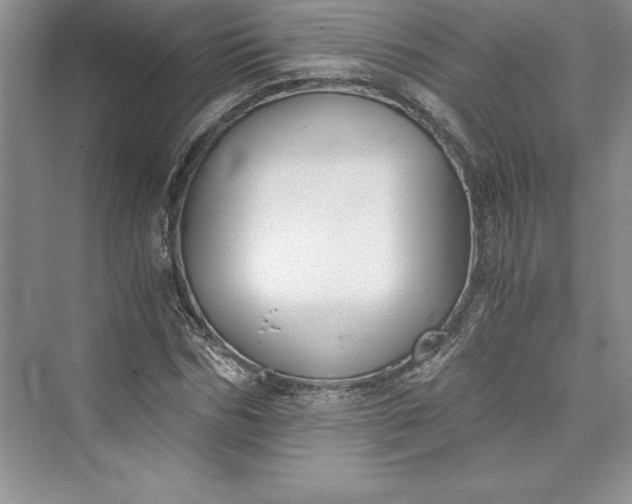 X0000073410970200608111321