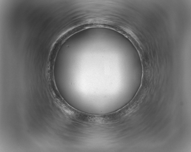 X0000073410971200608111321