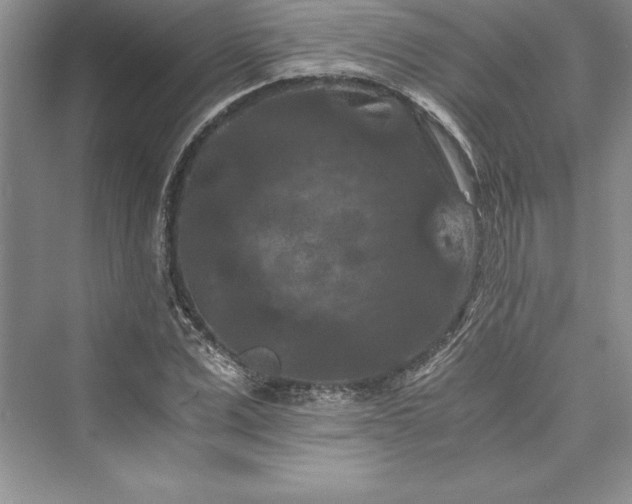 X0000073410975200608111321