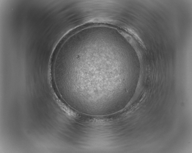 X0000073410976200608111321