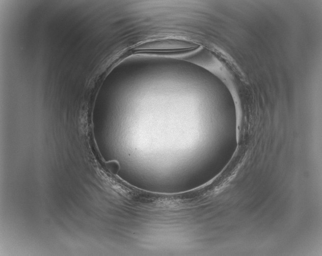 X0000073410977200608111320