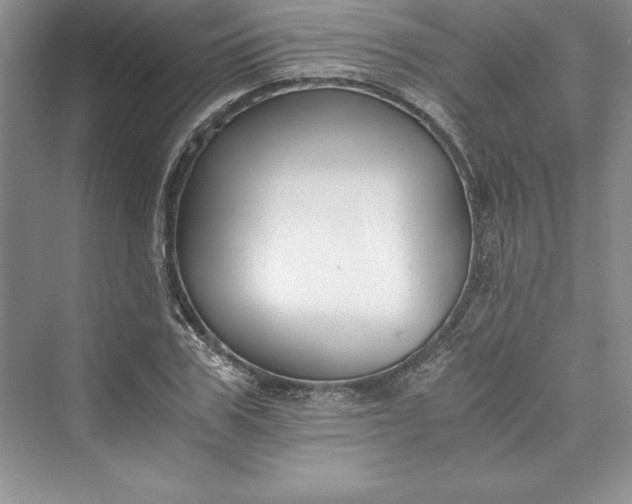 X0000073410979200608111320