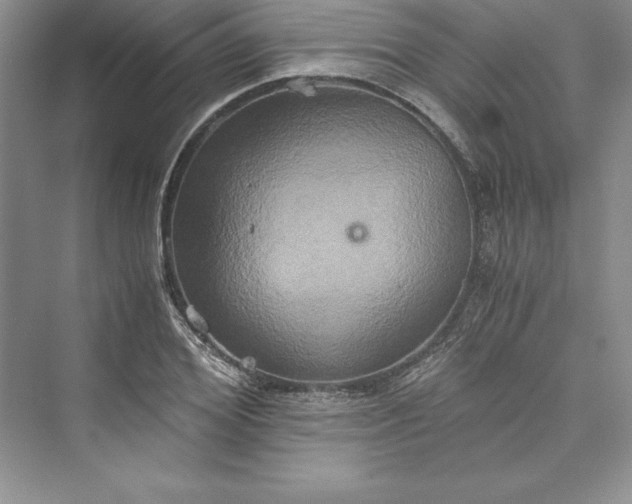 X0000073410980200608111320