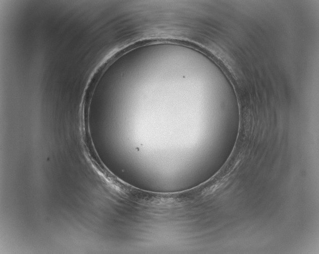 X0000073410982200608111320