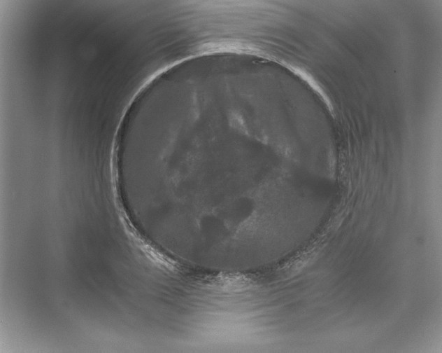 X0000073410983200608111320