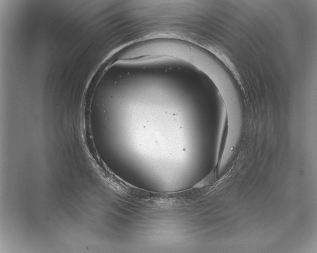 X0000073410984200608111320