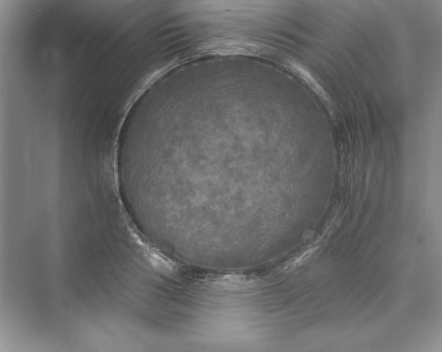 X0000073410986200608111320