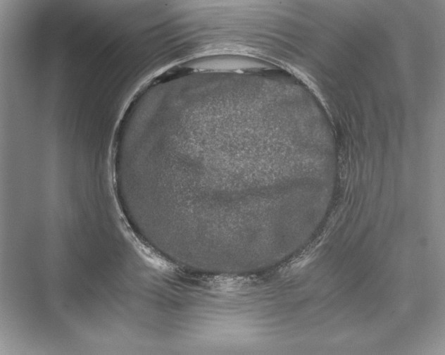 X0000073410987200608111320