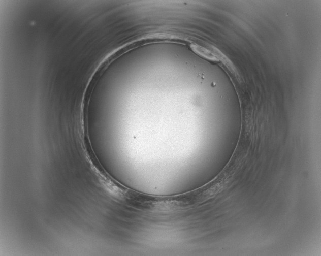 X0000073410988200608111320