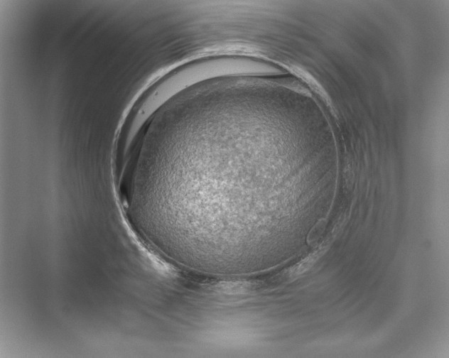 X0000073410989200608111320