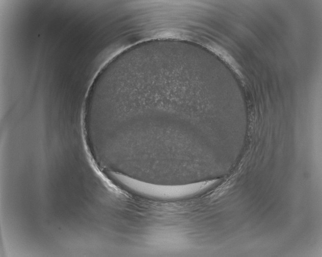 X0000073410991200608111320