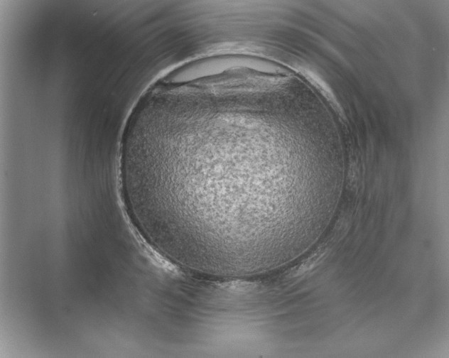 X0000073410992200608111320