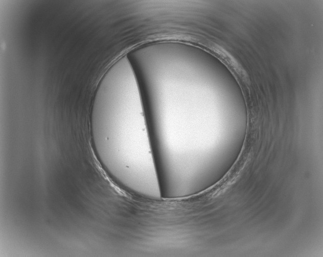 X0000073410993200608111320