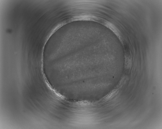 X0000073410994200608111320