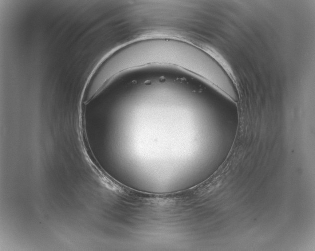 X0000073410996200608111320