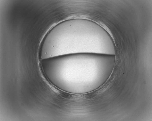 X0000073410997200608111320