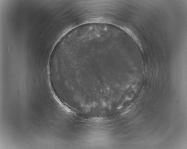 X0000073410998200608111320