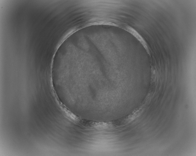 X0000073411002200608111320