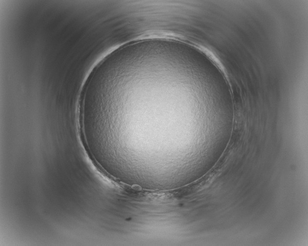 X0000073411003200608111320