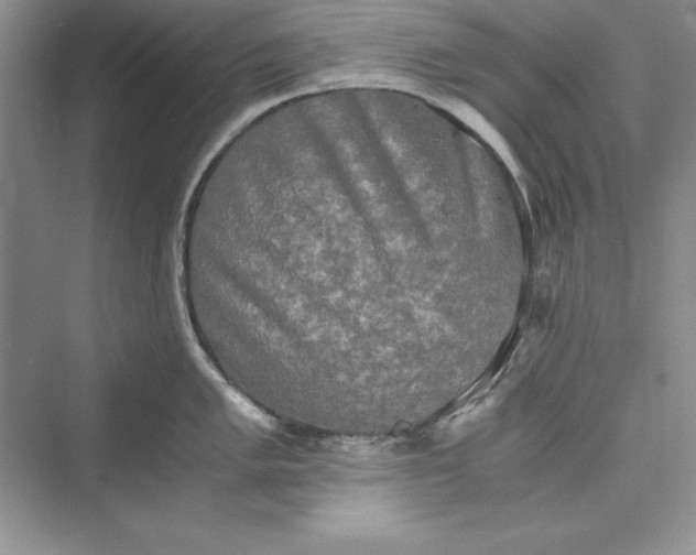 X0000073411005200608111320