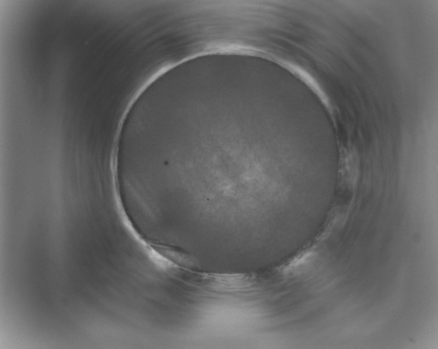 X0000073411007200608111320