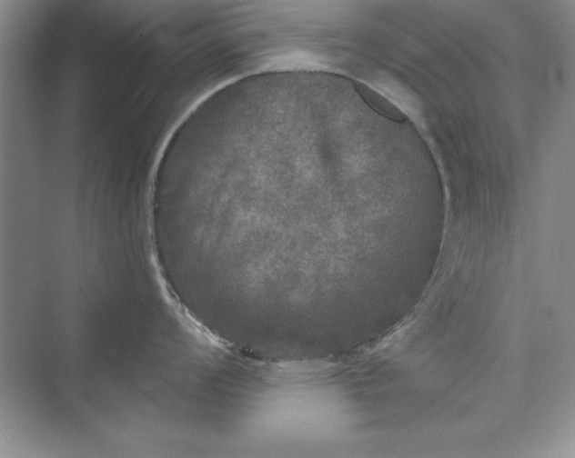 X0000073411008200608111320