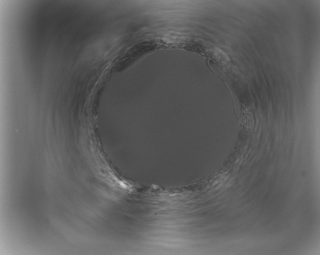 X0000073411009200608111319