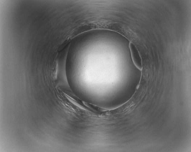 X0000073411010200608111319