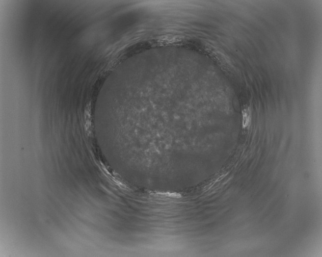 X0000073411011200608111319