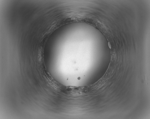 X0000073411012200608111319