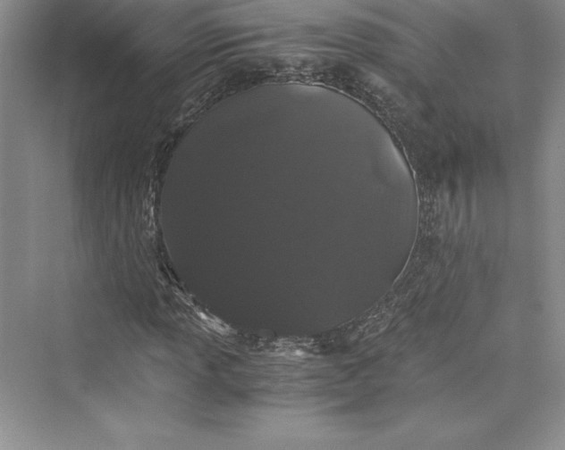 X0000073411013200608111319