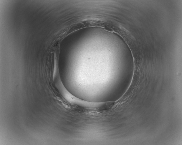 X0000073411014200608111319