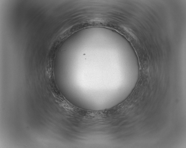 X0000073411015200608111319