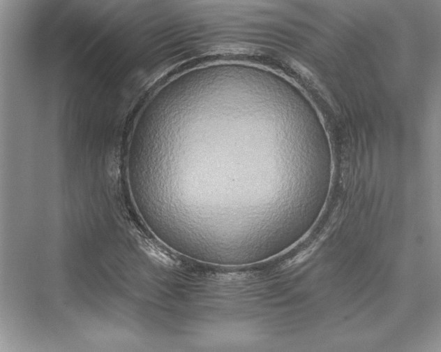 X0000073411017200608111319