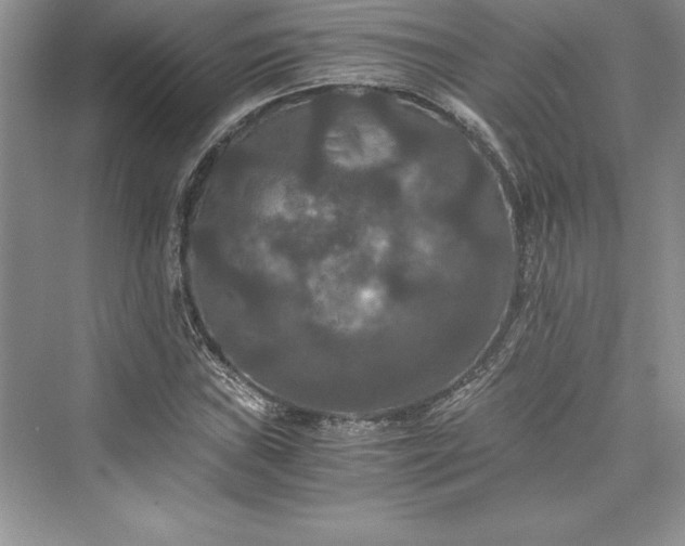 X0000073411019200608111319