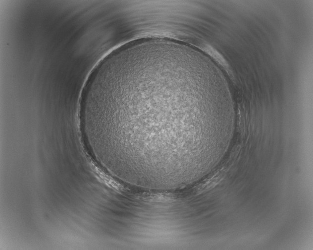 X0000073411020200608111319