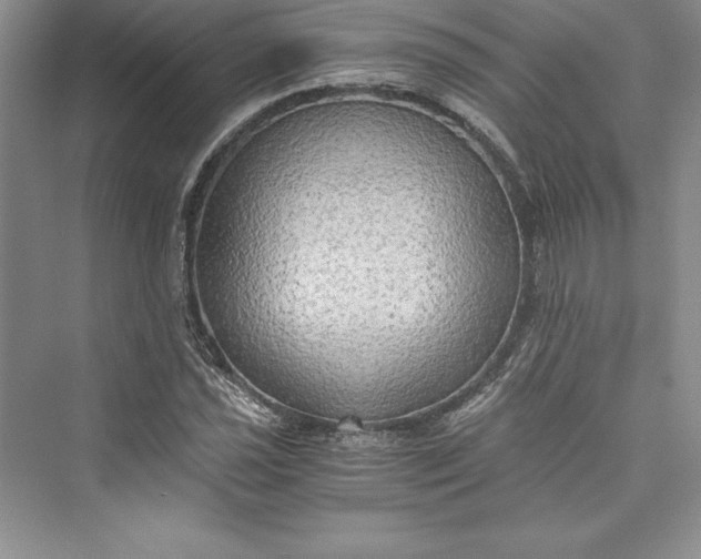 X0000073411021200608111319