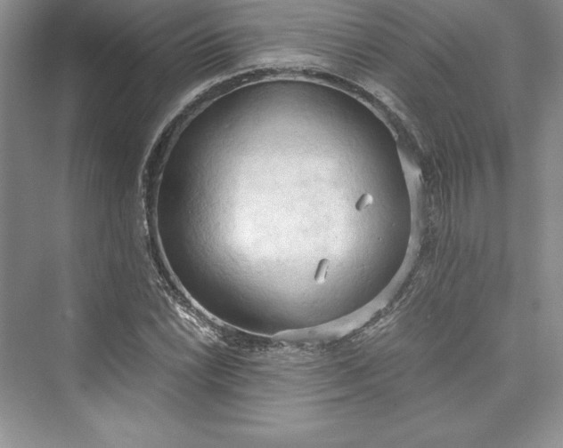 X0000073411022200608111319