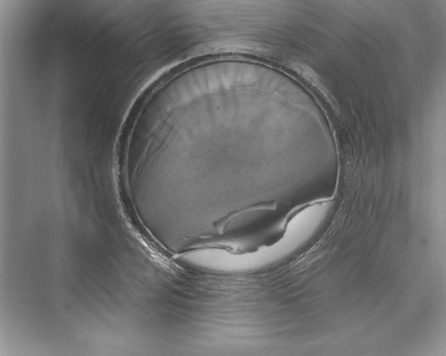 X0000073411024200608111319